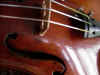 Violin16.jpg (46500 bytes)