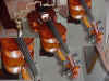 Violin1.jpg (68338 bytes)